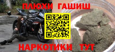 Альфа ПВП Гатчина