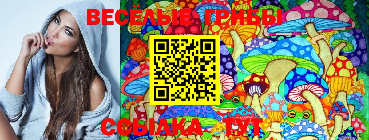 Краснокаменск  закладка  Вход с VPN  Галлюциногенные грибы Cubensis 